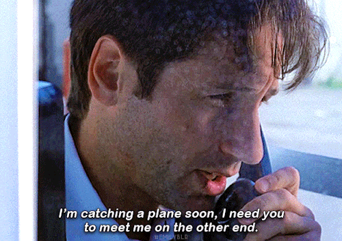 How To SayI Love Youin X-files[17/?]4.01 Herrenvolk