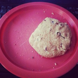 About to eat my second special cookie. I hope no needs me going to be useless