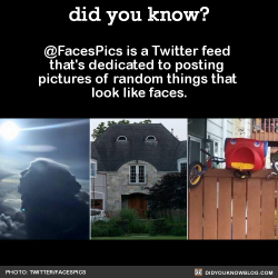 did-you-kno:  Frightened little shed getting