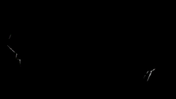 Shitaku
