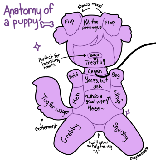 Porn Dog Anatomy - good-dog-girls.tumblr.com post 157075256756 Porn Photo Pics