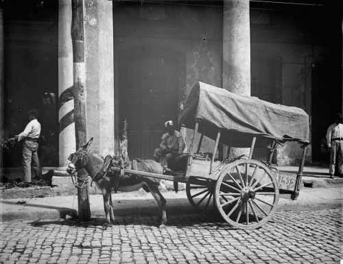 An ice cream vendor, fruit wagons unloading outside a market, a coconut merchant’s wagon and a flowe