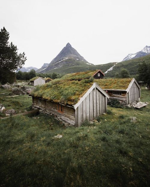 wild-cabins:Danielle Langedal