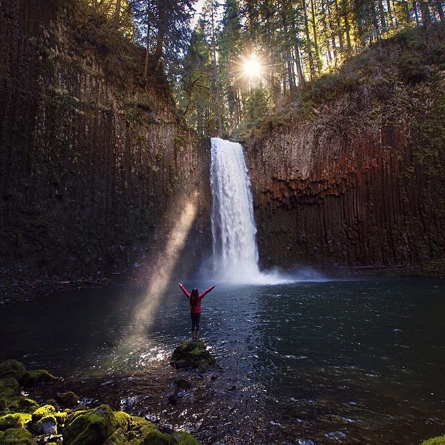 hippie-tranquility:    