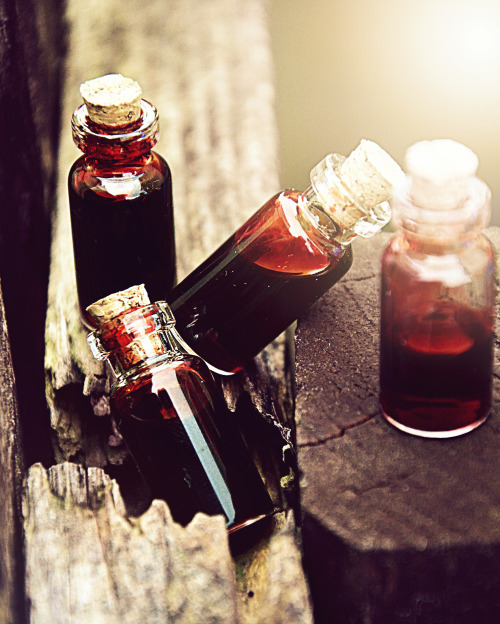 vintagewitchmistress:Offering Oil For The DeadHere’s a oil that I made in honor of Thanatos (also pr