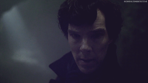 aconsultingdetective: Gratuitous Sherlock GIFs Did you see it?