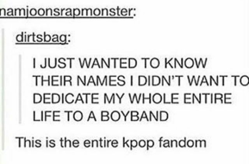 kpoppabos: Every fangirl.. Story of my life 17