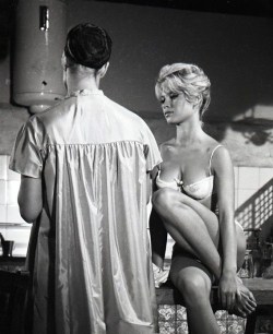 gatabella:  Brigitte Bardot 