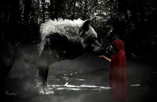 wolfstravelsinmind:  If you were to meet me in the forest, I hope you won’t run. Wolves enjoy the chase. 