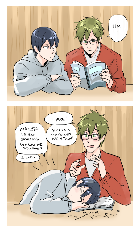 incaseyouart:Wherein Makoto attempts to study and Haru is a cat