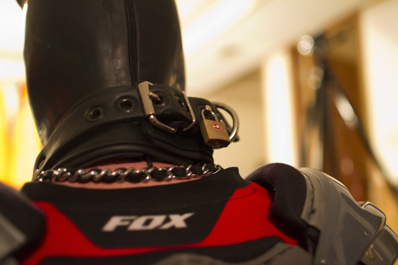 divepup:  Got to be a rubberized dog locked up in motocross gear &lt;3 