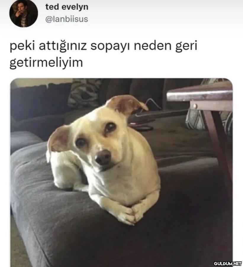 Günaydınn...