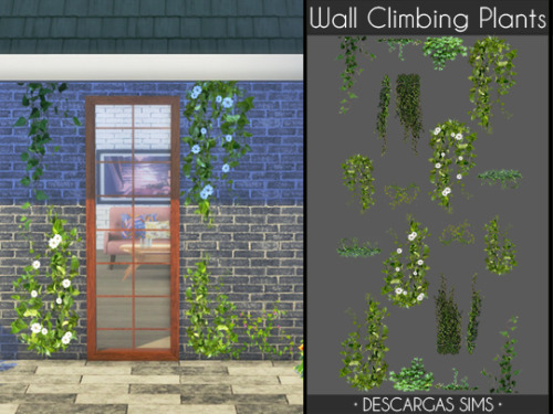 Wall Climbing Plants-Category: Painting And Posters-2 items:Plants from below (9 swatches)Plants fro