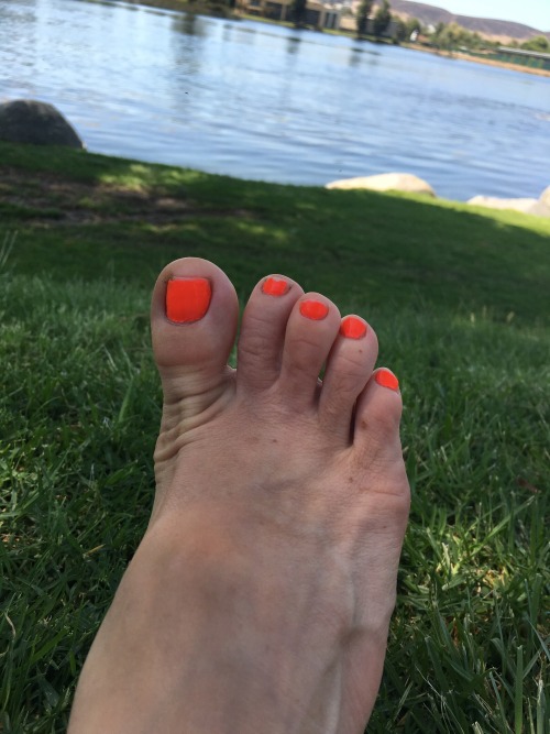 opentolife37: opentolife37: Sunny days enjoying the sunny weather I love this orange, what do you