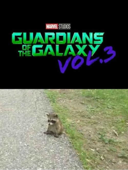 darkslayer092: First look at Guardians of the galaxy 3. :V