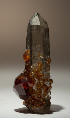 libutron:  Quartz with Spessartine by usageology on Flickr. Locality: Yunxiau, Funian Province, China Size: Quartz crystal is 1.7 inches tall. 