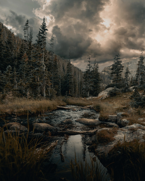 amazinglybeautifulphotography: A Stream in Estes Park, Colorado [3040 X 3800] [OC] - Author: C_Banks