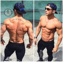 Adonis Files