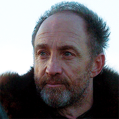 lordofdragonstone:  The North is larger than the other six kingdoms combined, and