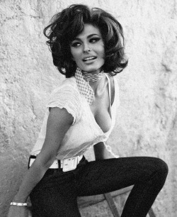 vintageruminance:  Sophia Loren