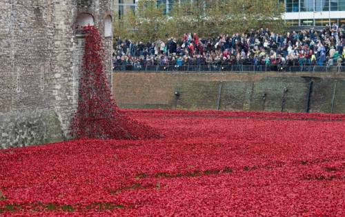 micdotcom:  Breathtaking photos show how Britain does Veterans Day   Veterans Day isn’t just an American holiday. While Americans remember veterans of all wars, the federal holiday coincides with Armistice Day or Remembrance Day, where countries around