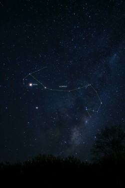 Wavelasso:  Mars Is Very Visible In The Night Sky At The Moment.  To Identify It