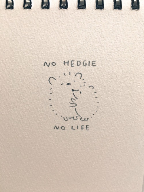 NO HEDGIE NO LIFE