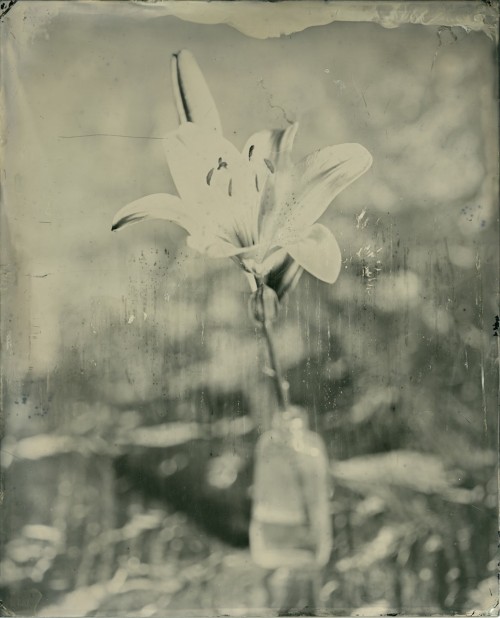 brookelynne:  25% off Spring Cleaning Sale at WetplateWares Out with the old, in with the new! I’ve added a few handfuls of tintypes to the store that are pretty “flawed,” and have priced them accordingly.  Plus, there’s lots of finished pieces