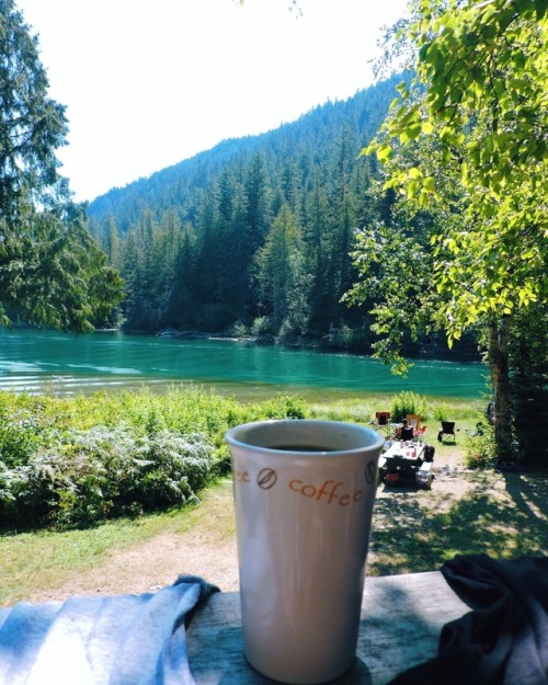 shanillee-lewis: Morning cabin views with coffee