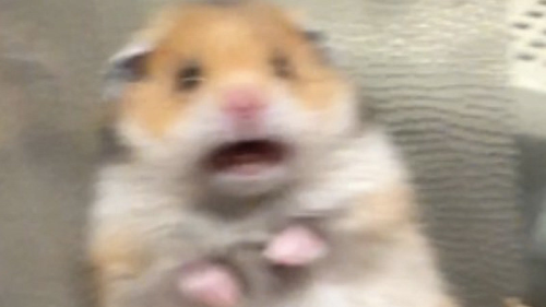 THE FACT YOU WROTE TIGHNARI AND DIDNT TAG ME? THE AUDACITY. HOW COULD U BETRAY ME.
