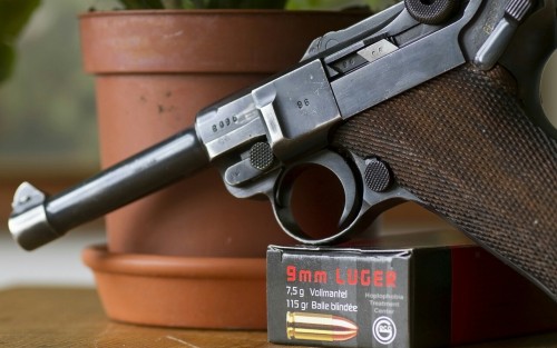 badger-actual:Luger P-08.