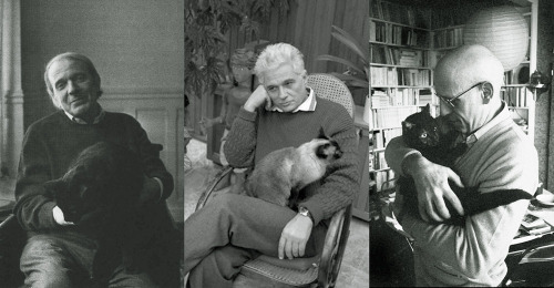 spainonymous:s-hayashi:Deleuze, Foucault, Derrida - with catsPersonas que han hecho con sus ideas ca