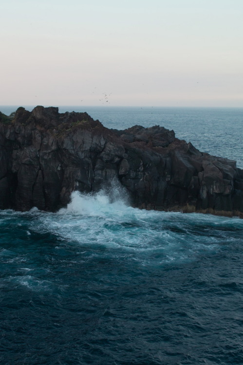 r2&ndash;d2: Izu