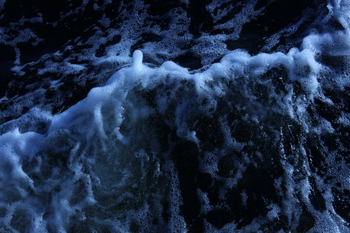 cryier:  the sea is amazing 