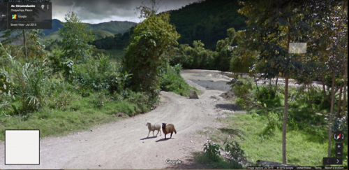 googlesheepview:Chontabamba Distric, Peru-A