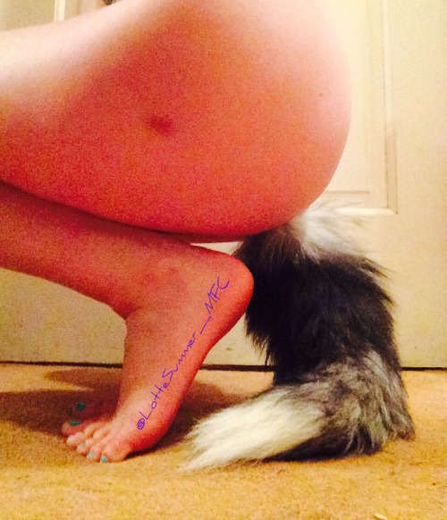 lottesummers:  Proud owner of a cattail butt plug