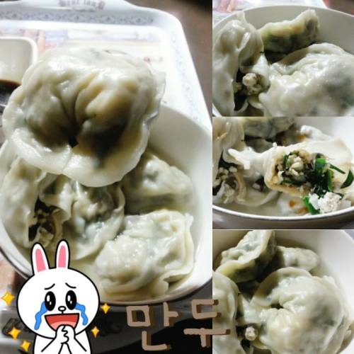 Delicious Mandu 만두 (Korean dumplings)