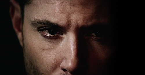 out-in-the-open:           Appreciation of Winchester genes 