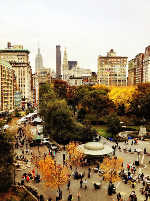 oldlittlegirl:New York City, Urban LandscapesVivienne Gucwa