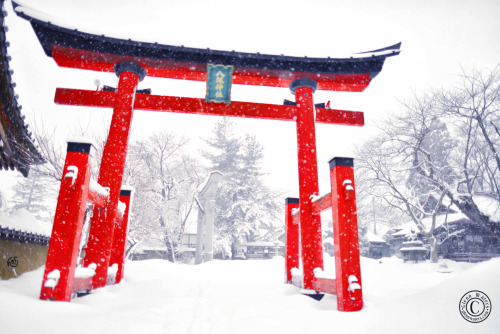 japanesse-life:   Mid Winter at the temple. © Glenn E Waters. Japan 2014. Over 5,000 visits to 