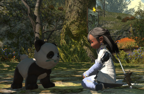 tovakiin:tiergan-vashir:magnoliathewhiteffxiv:yeeee new minions Hnnnng, HOW DO I GET BIRB?!MOGSTATIO