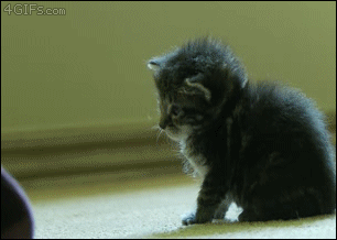 onesmiletoyou:  Awwwwwwwwwwwwwwww *-* 