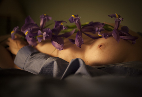 redboxbeneathmybed:  Iris. Part V.