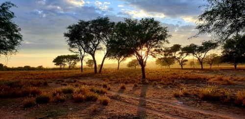 Early Morning In Namibia, Africa. 2019 Oc. 