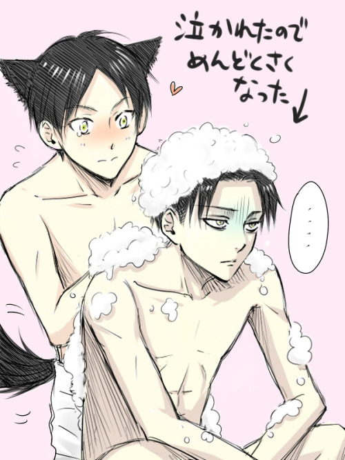loeyein:  PixivMember: tomomo 