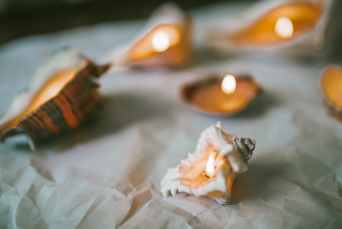 findingme2002:  how to make sea shell candles