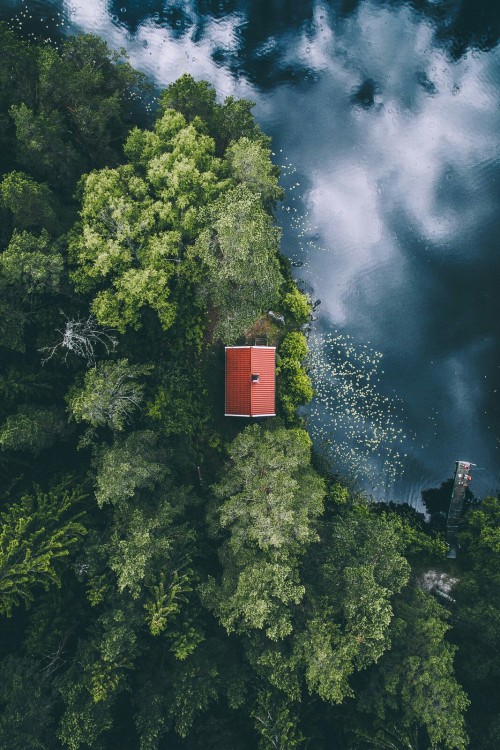 j-k-i-ng:  “A Cabin Dream“ by | Tobias Hägg