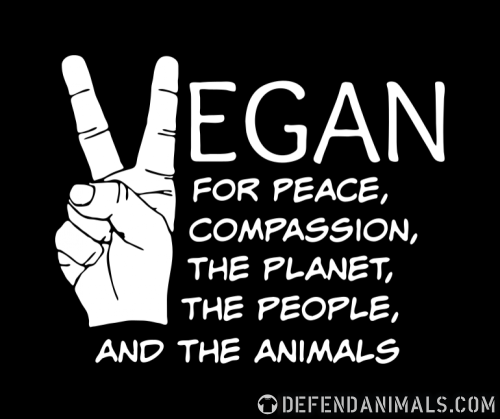 https://www.defendanimals.com/vegan-shirts-C295673/