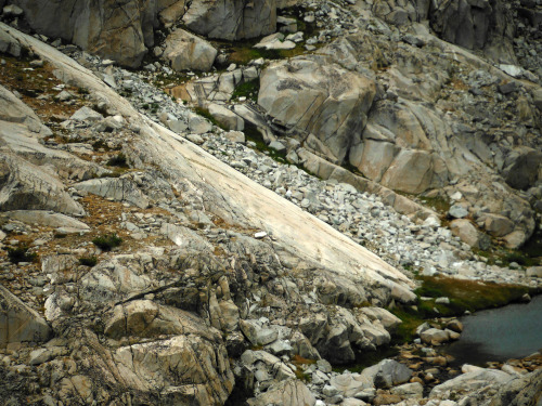 Old Squaw Lake geology. Western Pinnacles Lakes Basin, John Muir Wilderness, Sierra Nevada Mountains