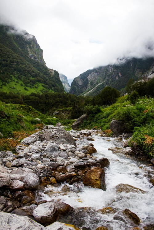 visitheworld:  Trek to the Valley of Flowers, Uttarakhand / India (by Lovell D'souza). 